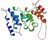 Paraneoplastic Antigen MA1 (PNMA1)