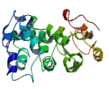 Paraneoplastic Antigen MA2 (PNMA2)