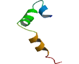 Paraneoplastic Antigen MA5 (PNMA5)