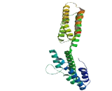 Paraneoplastic Antigen MA6A (PNMA6A)