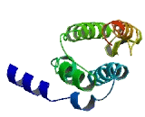 Paraneoplastic Antigen MA6C (PNMA6C)