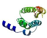 Paraneoplastic Antigen MA6D (PNMA6D)