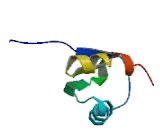 Paraspeckle Component 1 (PSPC1)