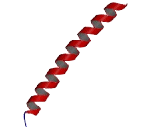 Parathyroid Hormone (PTH)