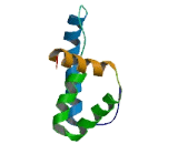 Parathyroid Hormone 2 (PTH2)