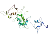 Parkin Co Regulated Gene Protein (PACRG)