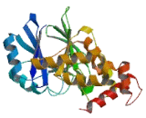 Paroxysmal Nonkinesiogenic Dyskinesia (PNKD)