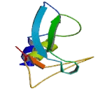 Patatin Like Phospholipase Domain Containing Protein 1 (PNPLA1)