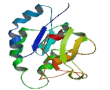 Patatin Like Phospholipase Domain Containing Protein 2 (PNPLA2)