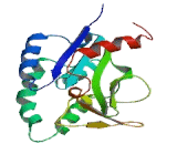 Patatin Like Phospholipase Domain Containing Protein 3 (PNPLA3)