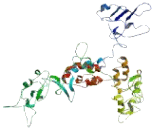 Patched Domain Containing Protein 3 (PTCHD3)