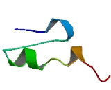 Paternally Expressed Protein 3 (PEG3)