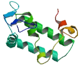 Pecanex Like Protein 2 (PCNXL2)