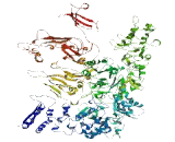 Pecanex Like Protein 3 (PCNXL3)