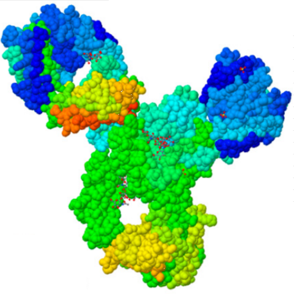 Pembrolizumab (PBL)