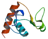 HBV XAg Transactivated Protein 5 (XTP5)