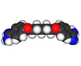 Pentamidine (PTM)