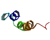 Pentatricopeptide Repeat Domain Protein 2 (PTCD2)