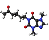 Pentoxifylline (PTX)