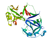 Pepsinogen 4, Group I (PGA4)