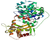 Peptidase, Mitochondrial Processing Alpha (PMPCa)