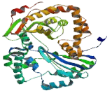 Peptidase, Mitochondrial Processing Beta (PMPCb)