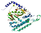 Leucine Aminopeptidase 3 (LAP3)