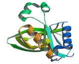 Peptide Deformylase, Mitochondrial (PDF)