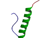 Peptide YY (PYY)