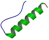 Peptide YY 3 (PYY3)