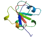 Peptidyl Prolyl Cis/Trans Isomerase NIMA Interacting Protein 3 (PIN3)