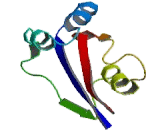 Peptidyl Prolyl Cis/Trans Isomerase NIMA Interacting Protein 4 (PIN4)