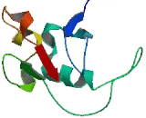 Peptidylglycine Alpha Amidating Monooxygenase COOH Terminal Interactor (PAMCI)