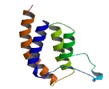 Bromodomain And PHD Finger Containing Protein 1 (BRPF1)