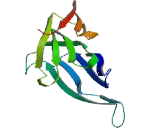 Periodic Tryptophan Protein 1 (PWP1)