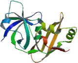 Peroxisomal Biogenesis Factor 1 (PEX1)