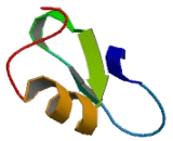 Peroxisomal Biogenesis Factor 10 (PEX10)