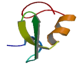 Peroxisomal Biogenesis Factor 12 (PEX12)