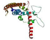 Peroxisomal Biogenesis Factor 14 (PEX14)