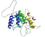 Peroxisomal Biogenesis Factor 3 (PEX3)