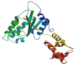 Peroxisomal Biogenesis Factor 6 (PEX6)