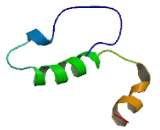 Peroxisomal Membrane Protein 2 (PXMP2)