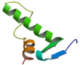 Peroxisomal Membrane Protein 34kDa (PMP34)