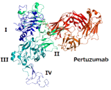 Pertuzumab (PTZ)