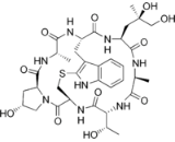 Phalloidin (PLD)