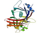 Phenazine Biosynthesis Like Protein Domain Containing Protein (PBLD)