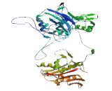 Phenylalanyl tRNA Synthetase Beta (FARSb)