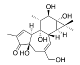 Phorbol (Pho)