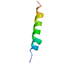 Phorbol-12-Myristate-13-Acetate Induced Protein 1 (PMAIP1)