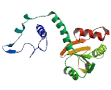 Phosducin (PDC)